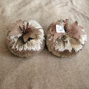 Fall Pumpkin Decor